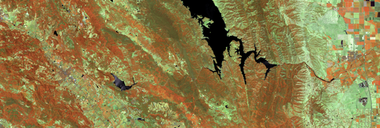 Monitoring (semi-)natural ecosystems